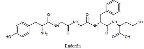 endorfin